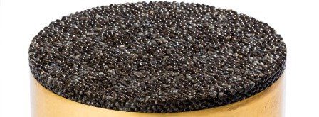 نمایندگی فروش خاویار در تبریز و ارومیه نمایندگی فروش خاویار در تبریز و ارومیه