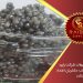 قیمت خاویار سیاه قیمت خاویار سیاه
