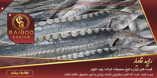 پخش ماهی خاویار گلستان پخش ماهی خاویار گلستان