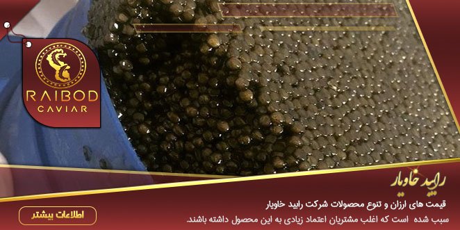 عرضه کننده خاویار تالش عرضه کننده خاویار تالش