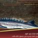 خرید ماهی خاویار خرید ماهی خاویار